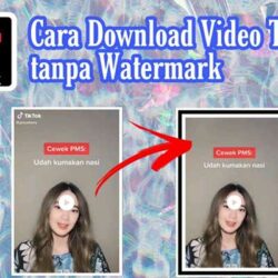 Cara Download Video TikTok Tanpa Watermark Online