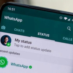 Cara Download Story WhatsApp