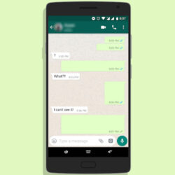 Cara Kirim Pesan Kosong di WhatsApp